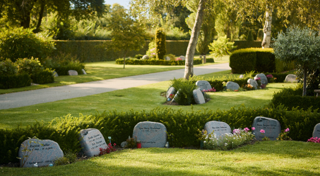 Gravsten langs lav hæk ud til en græsplæne på kirkegård. I baggrunden ses traditionelle gravsteder.