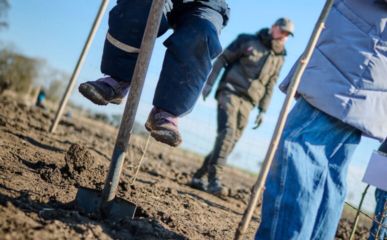 Børn planter træer på Østrup præstegårdsjord
